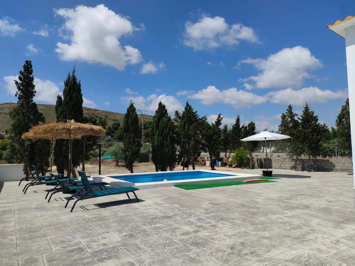 אלצ'ה Casa Rural Con Piscina Climatizada Y Barbacoa A 10 Km De Alicante Y Playas, 3000 M2 De Terreno מראה חיצוני תמונה