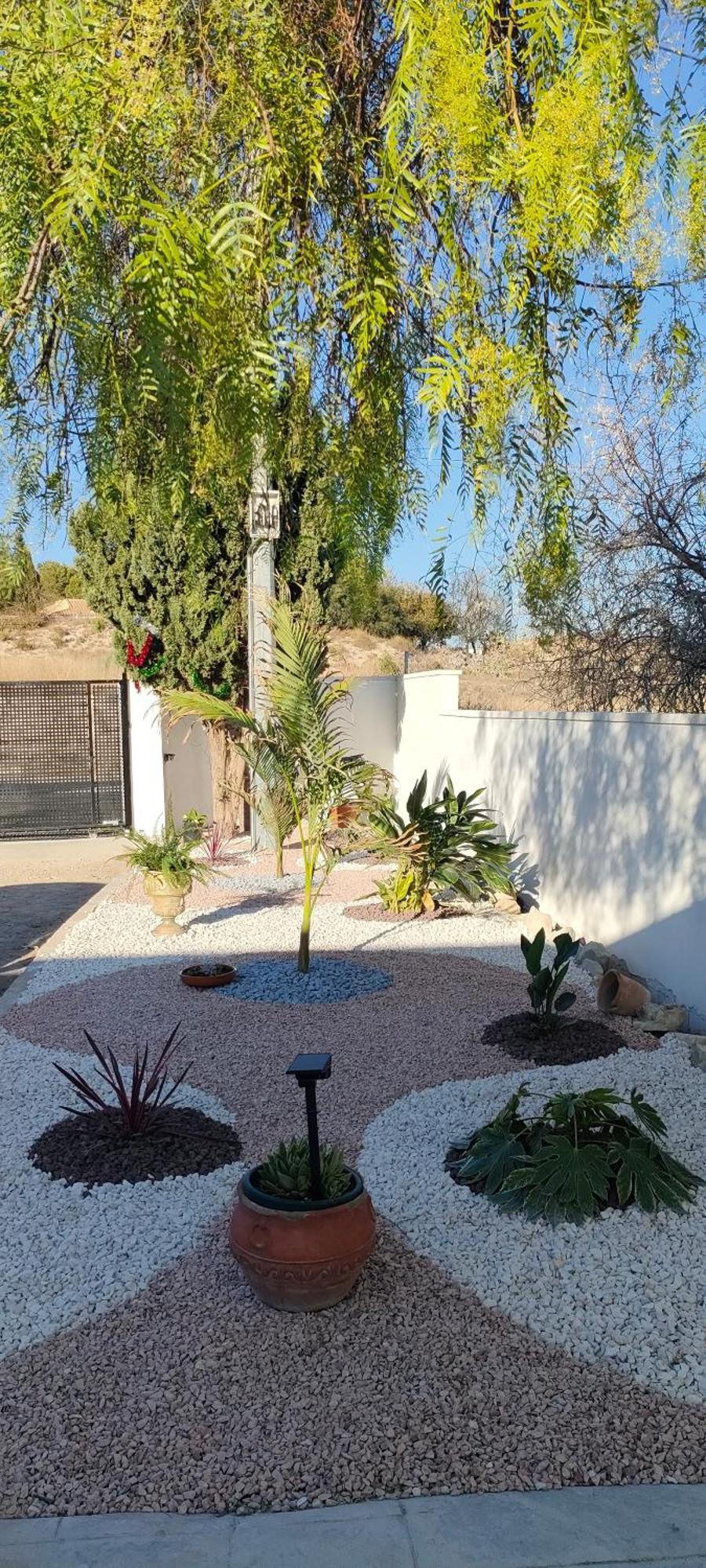 אלצ'ה Casa Rural Con Piscina Climatizada Y Barbacoa A 10 Km De Alicante Y Playas, 3000 M2 De Terreno מראה חיצוני תמונה