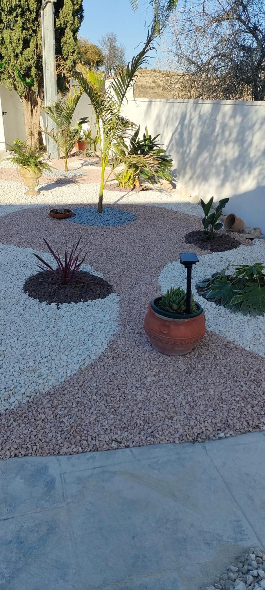 אלצ'ה Casa Rural Con Piscina Climatizada Y Barbacoa A 10 Km De Alicante Y Playas, 3000 M2 De Terreno מראה חיצוני תמונה